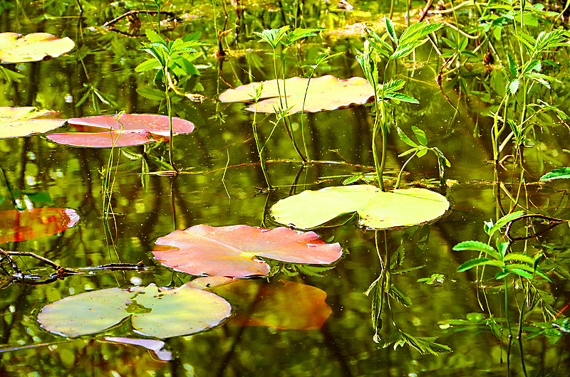 zur Übersicht Blatt um Blatt 7