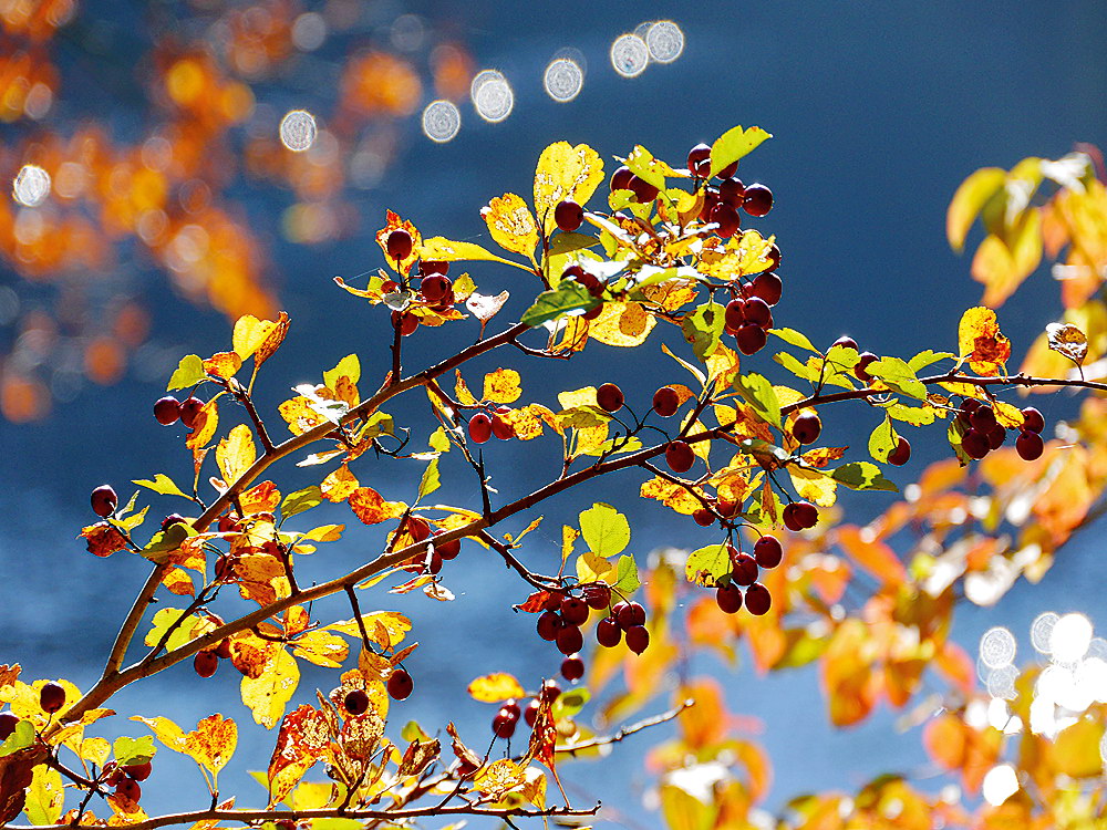 zur Übersicht Blatt um Blatt 9