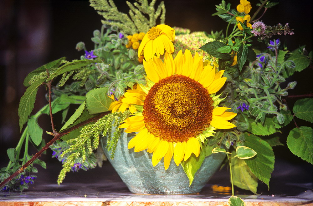 zur &Uuml;bersicht Blumenstr&auml;usse 2