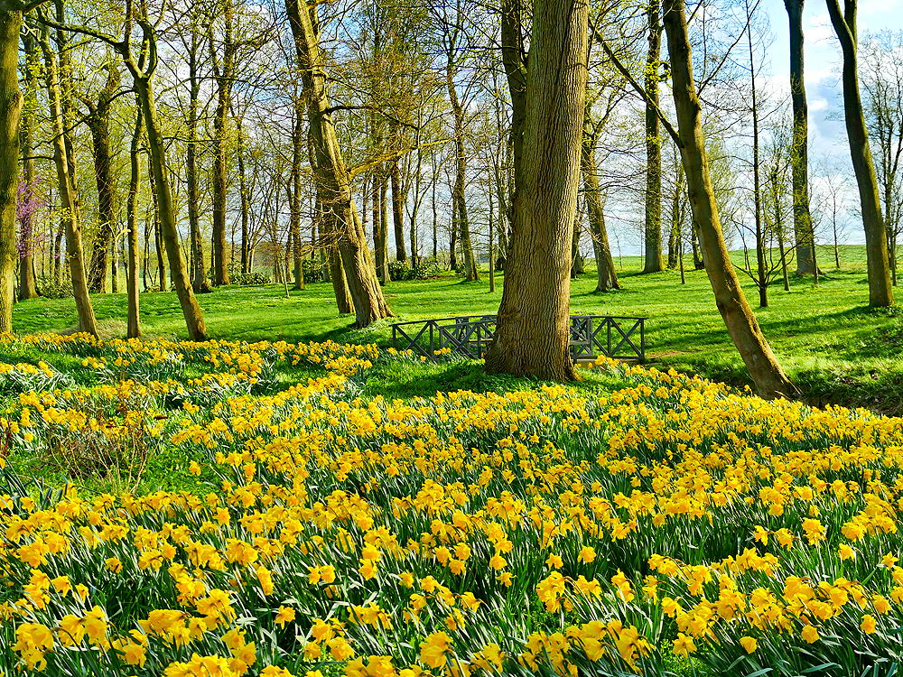 zur &Uuml;bersicht Br&uuml;cken 6