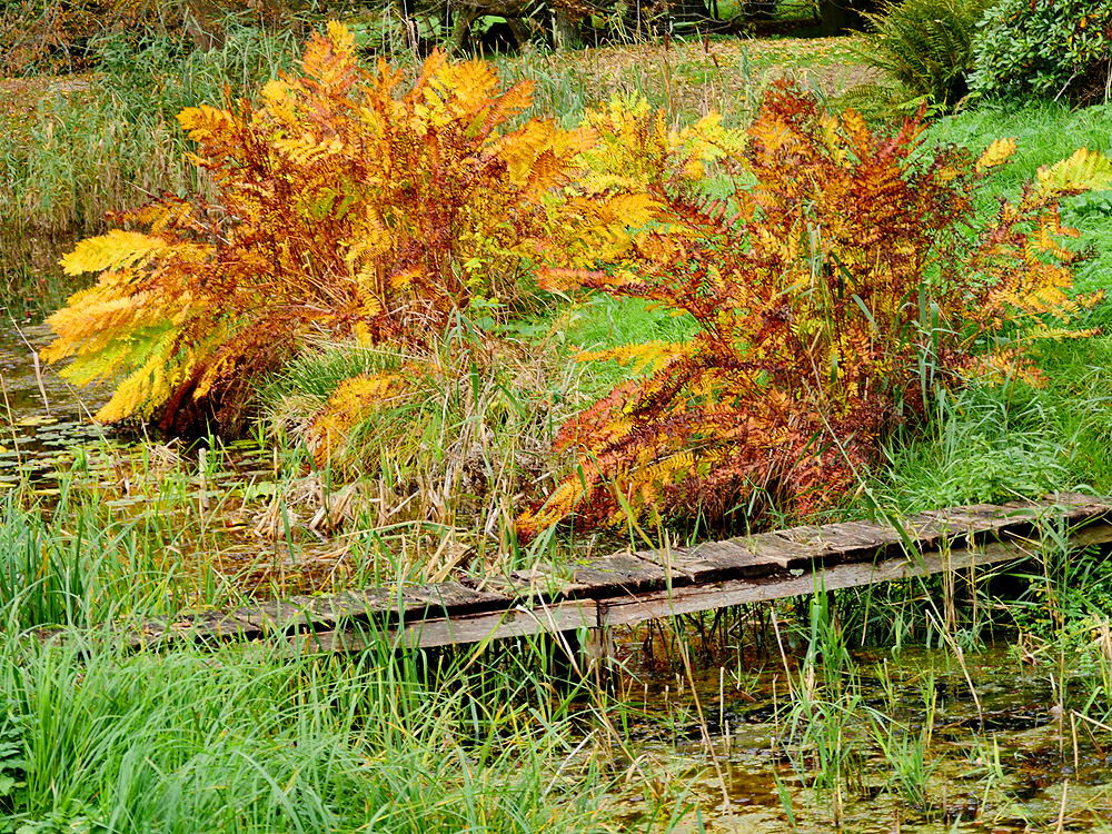 zur &Uuml;bersicht Br&uuml;cken 6