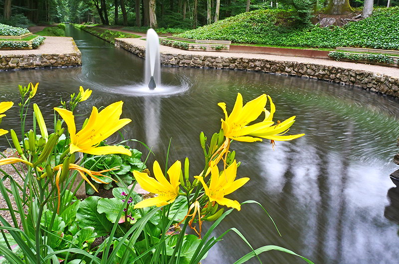 zur Übersicht Brunnen 5