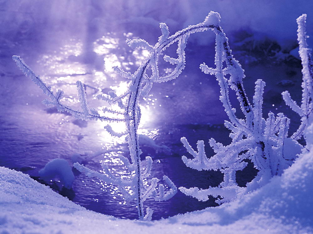 zur Übersicht Eiskunst 2
