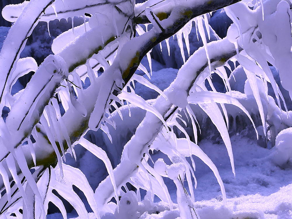 zur Übersicht Eiskunst 2