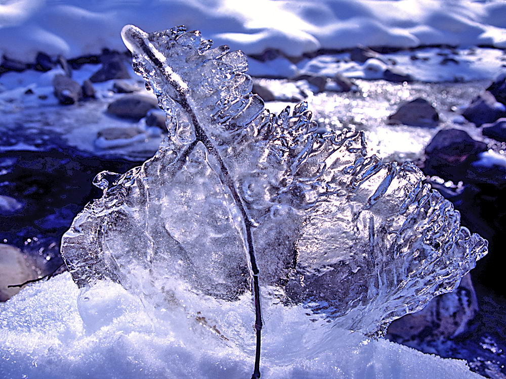 zur Übersicht Eiskunst 4