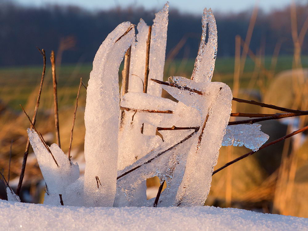 zur Übersicht Eiskunst 4