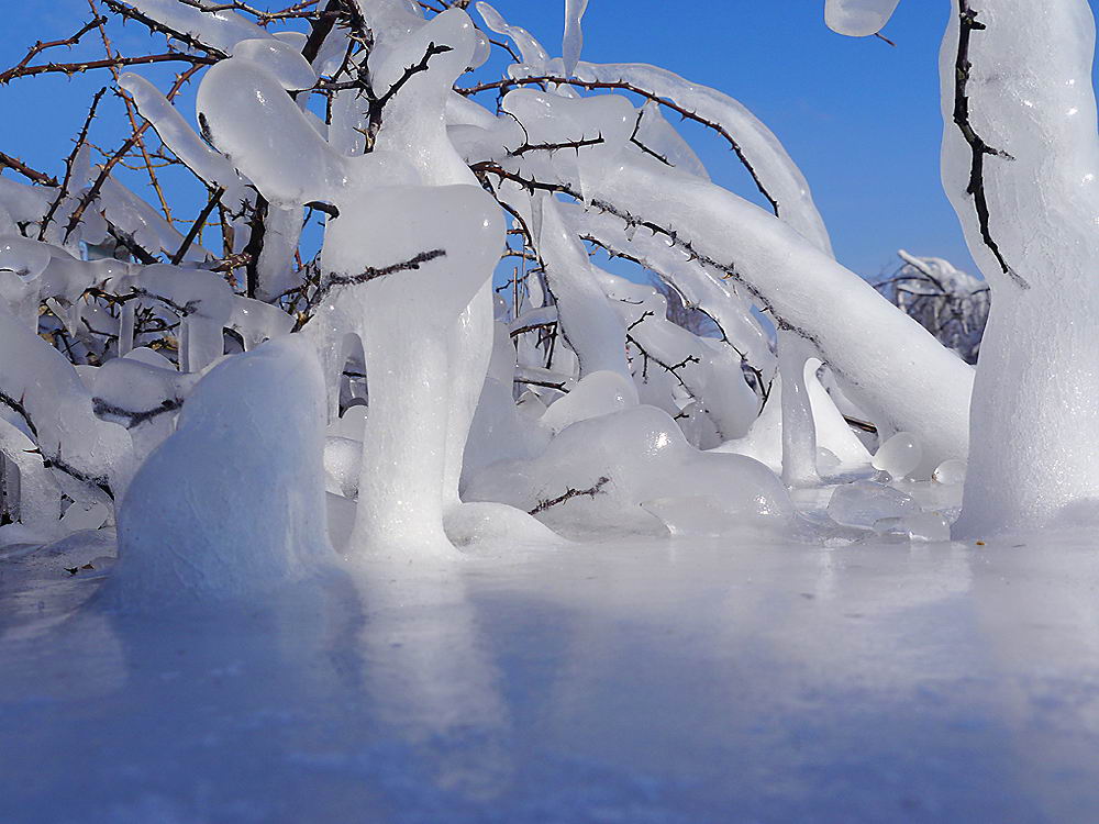 zur Übersicht Eiskunst 4