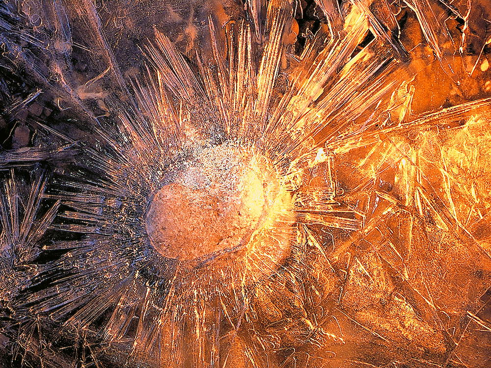 zur Übersicht Eiskunst 5
