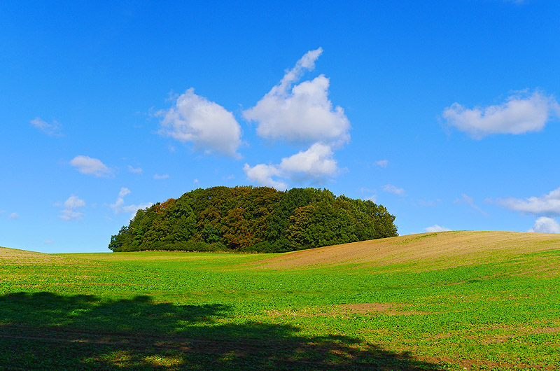 zur Übersicht Felder 3