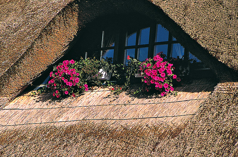 zur Übersicht Fenster II