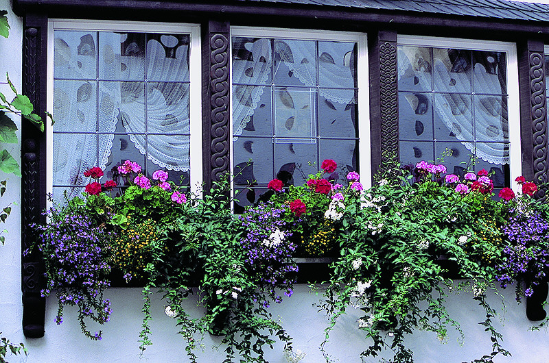 zur Übersicht Fenster II