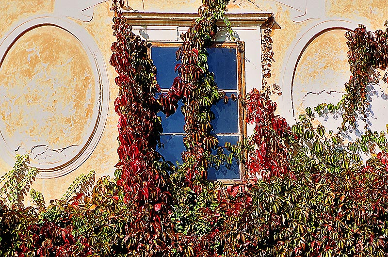 zur Übersicht Fenster II