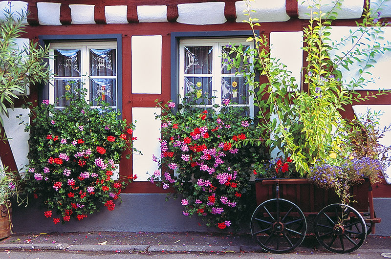 zur Übersicht Fenster II