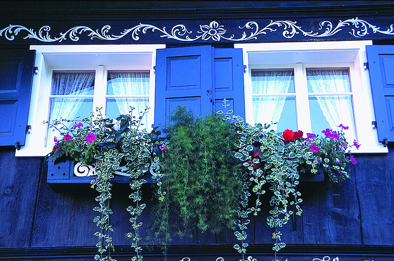 zur Übersicht Fenster II