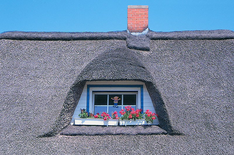 zur Übersicht Fenster 3