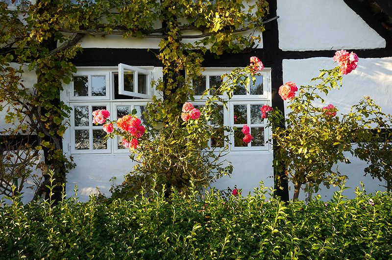 zur Übersicht Fenster 4