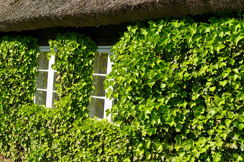 zur Übersicht Fenster 4
