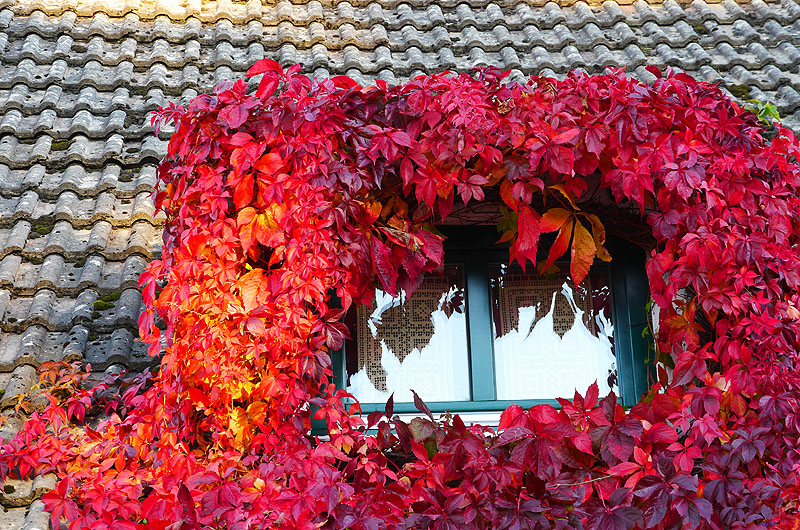 zur Übersicht Fenster 4