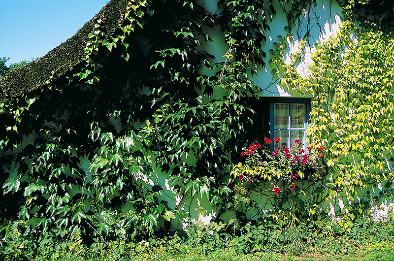 zur Übersicht Fenster 4