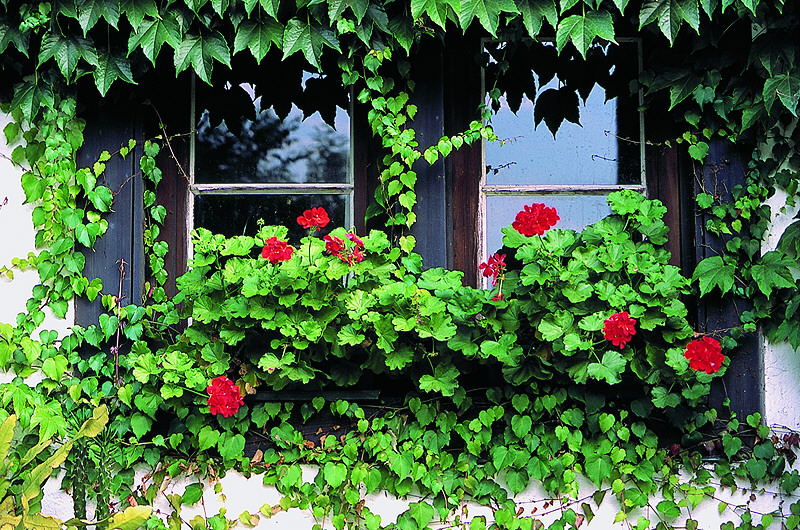 zur Übersicht Fenster 4