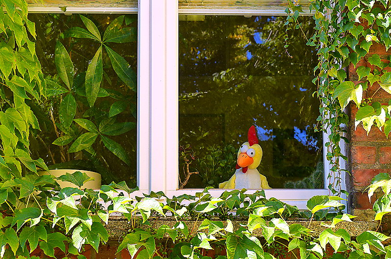 zur Übersicht Fenster 5