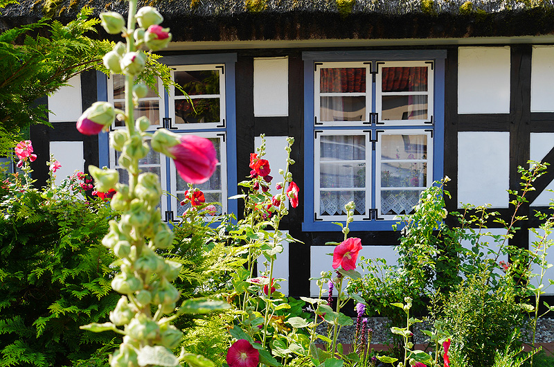 zur Übersicht Fenster 5