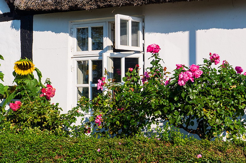 zur Übersicht Fenster 7