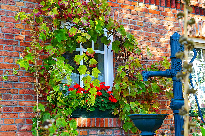 zur Übersicht Fenster 7
