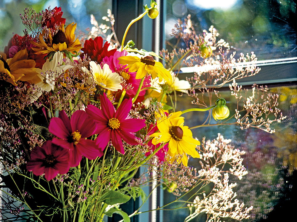 zur Übersicht Fenster 8