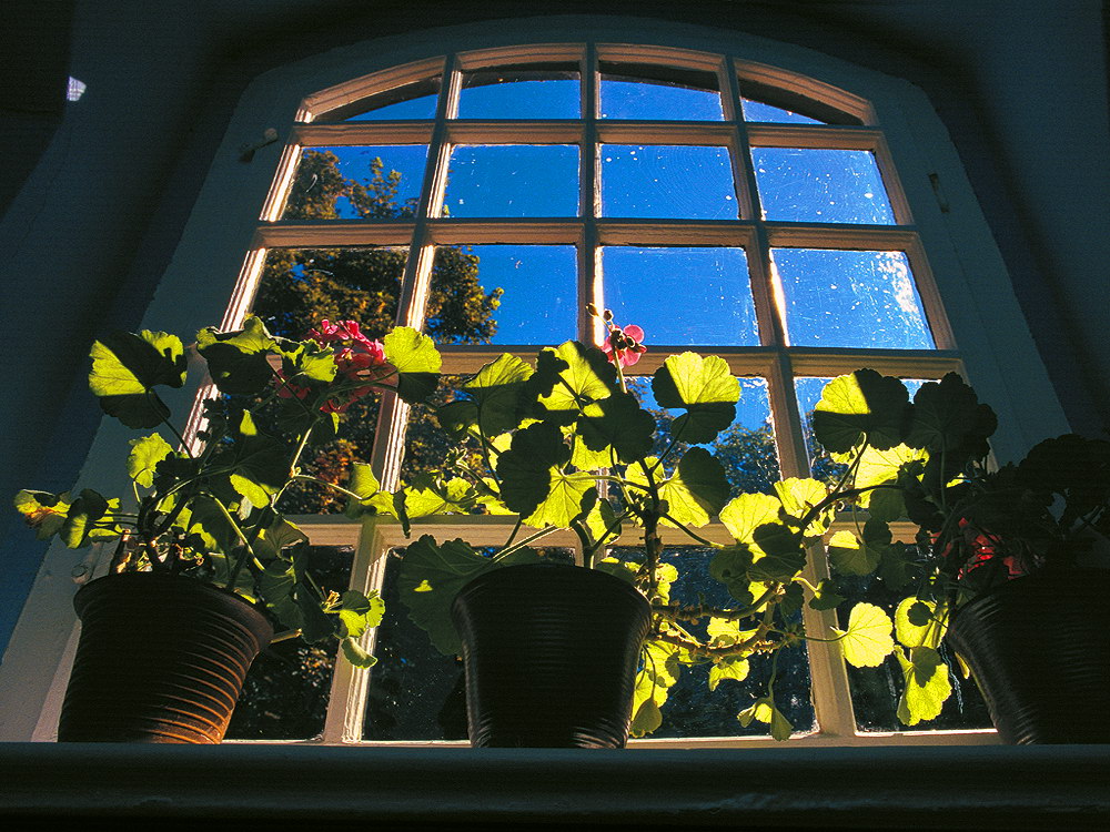 zur Übersicht Fenster 8