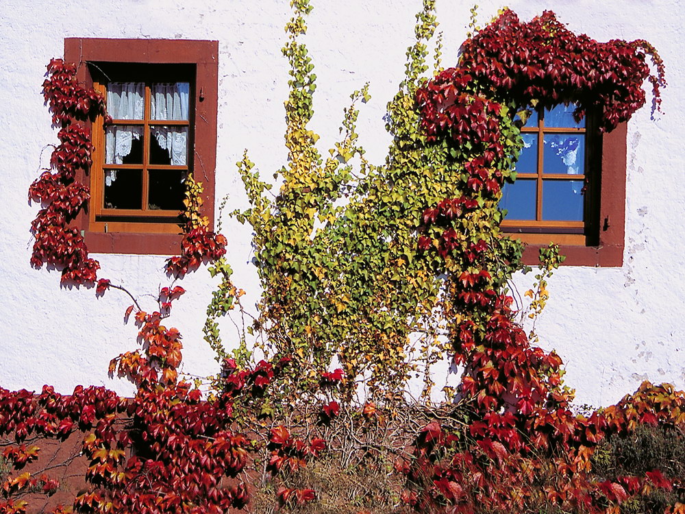 zur Übersicht Fenster 8