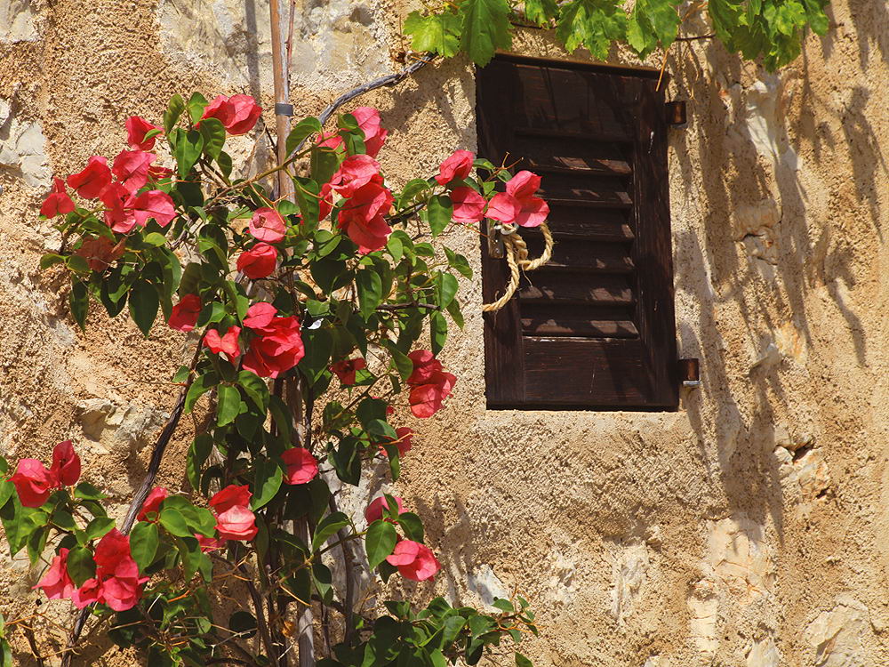 zur Übersicht Fenster 9