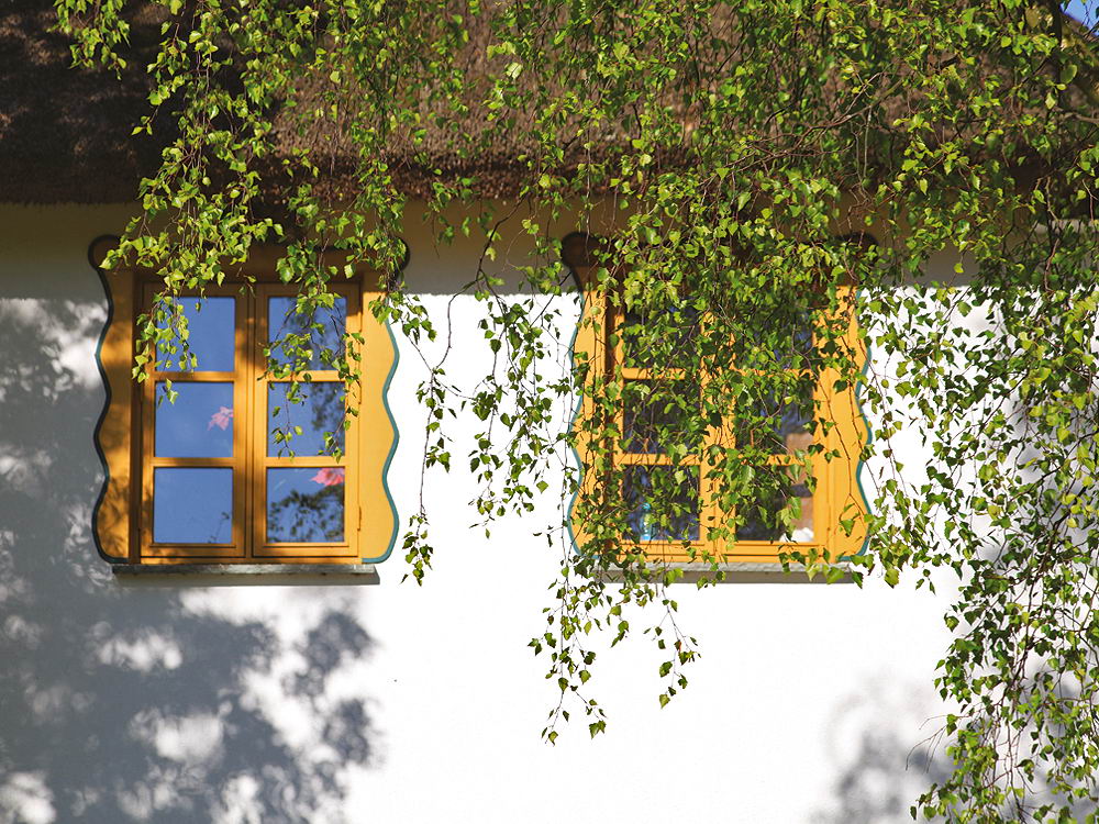 zur Übersicht Fenster 9