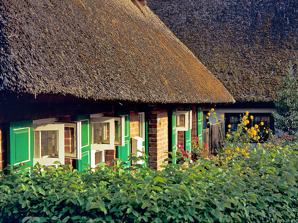 zur Übersicht Fenster 9