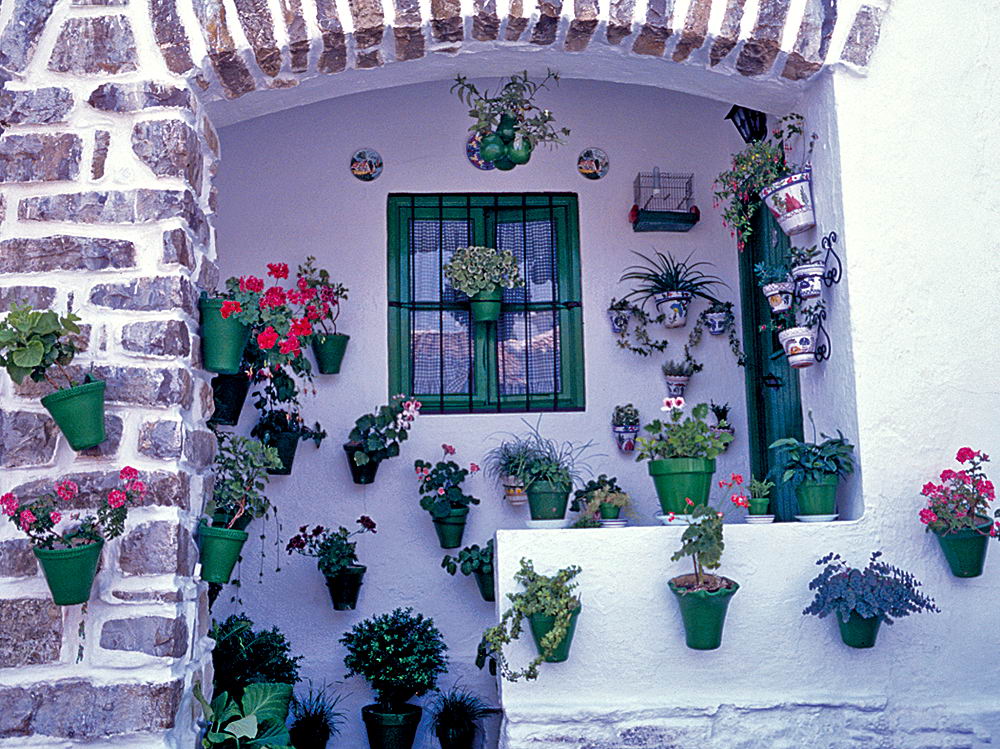 zur Übersicht Fenster 10