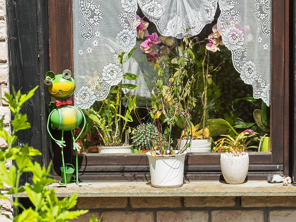 zur Übersicht Fenster 10