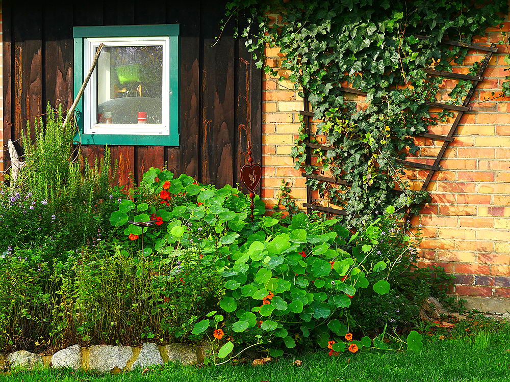 zur &Uuml;bersicht Fenster 11