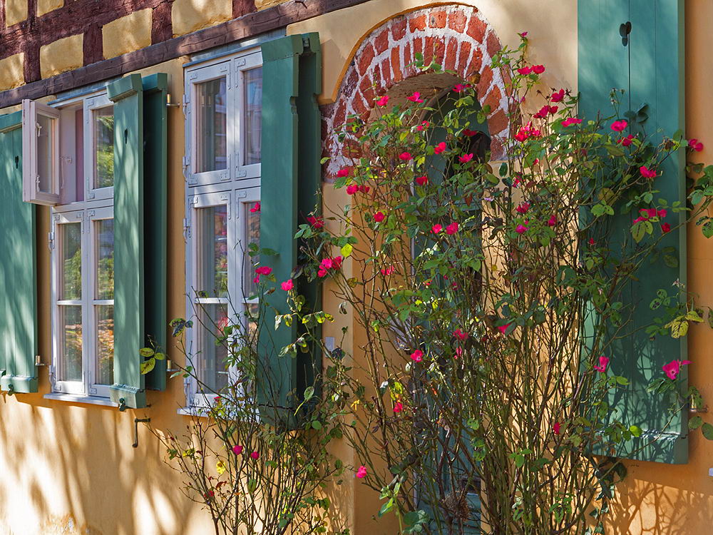 zur &Uuml;bersicht Fenster 11