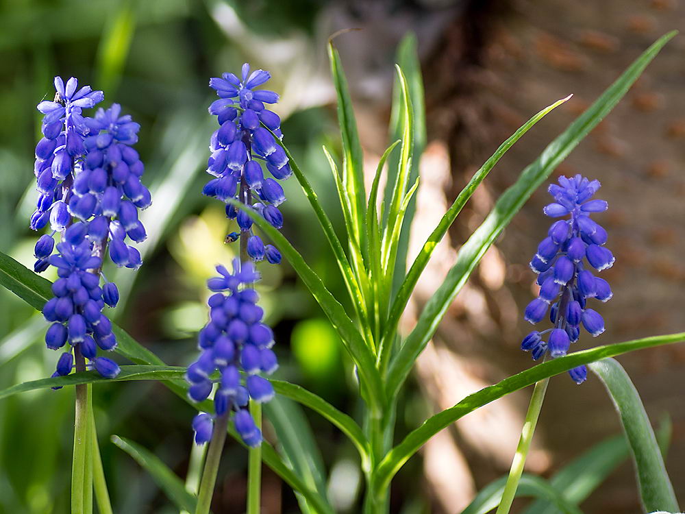 zur Übersicht Frühling 2