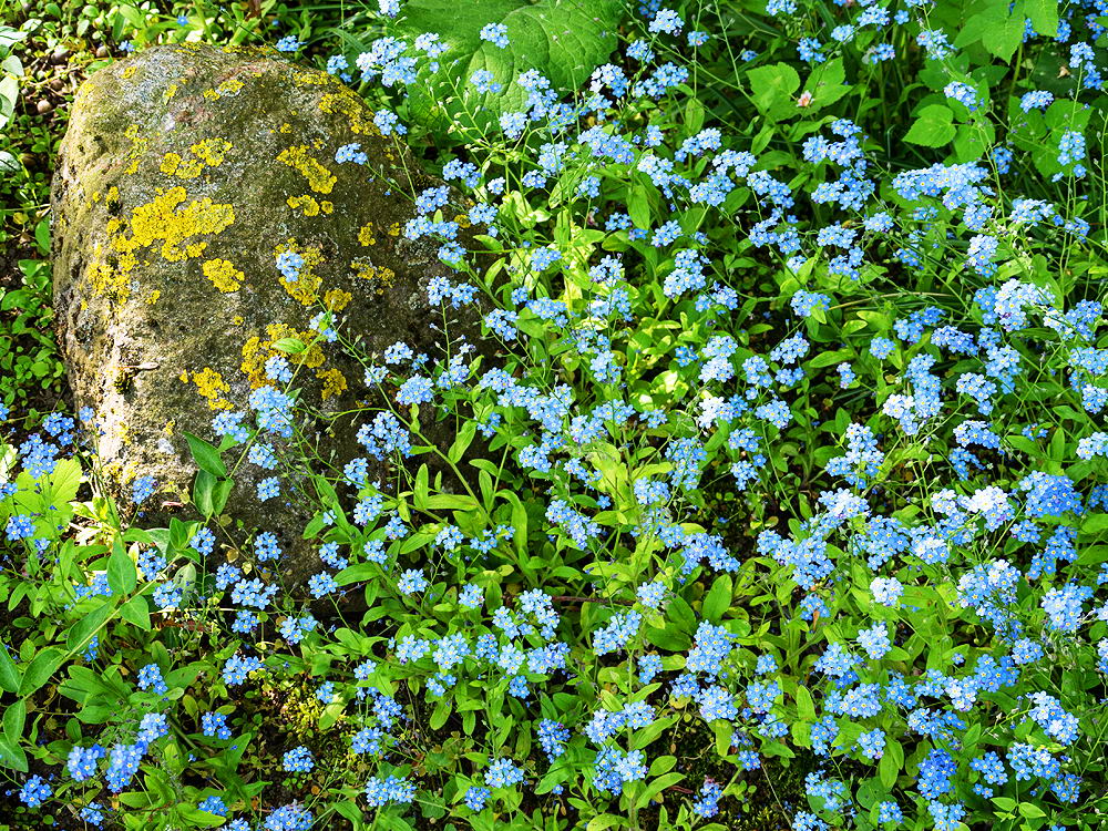 zur Übersicht Frühling 3