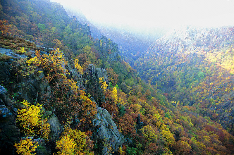 zur Übersicht Harz