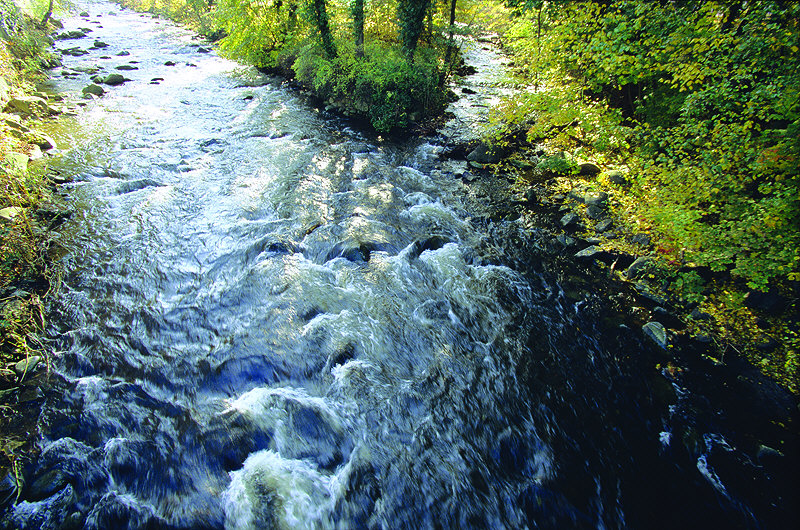 zur Übersicht Harz