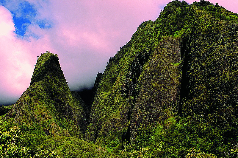 zur Übersicht Hawaii I