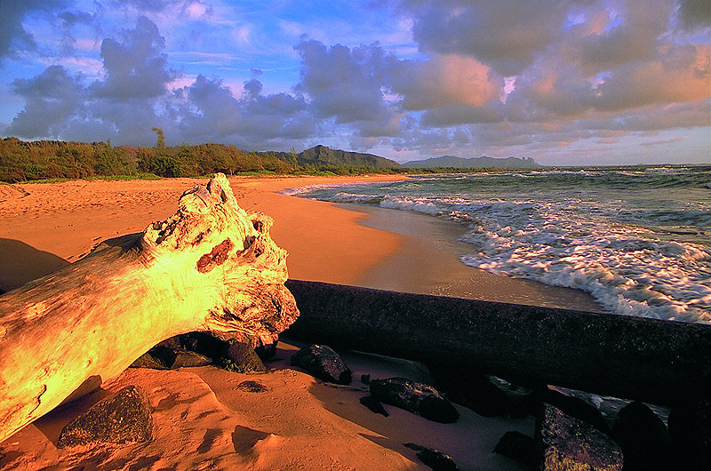 zur Übersicht Hawaii II