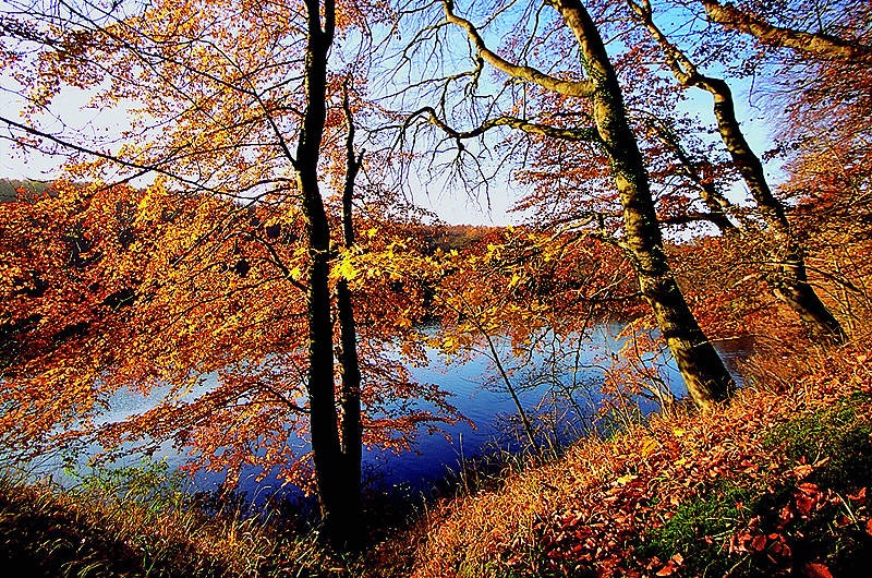 zur Übersicht Herbst