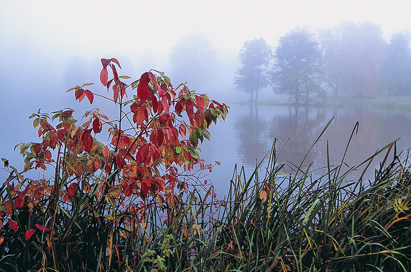 zur Übersicht Herbst