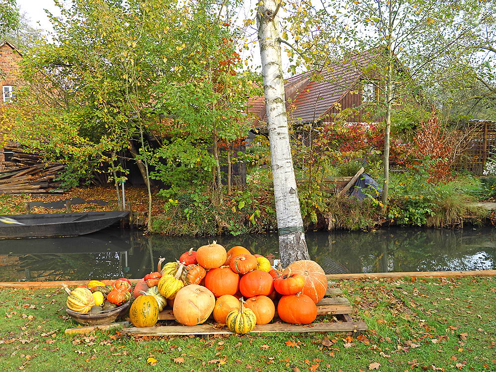 zur Übersicht Herbst 2