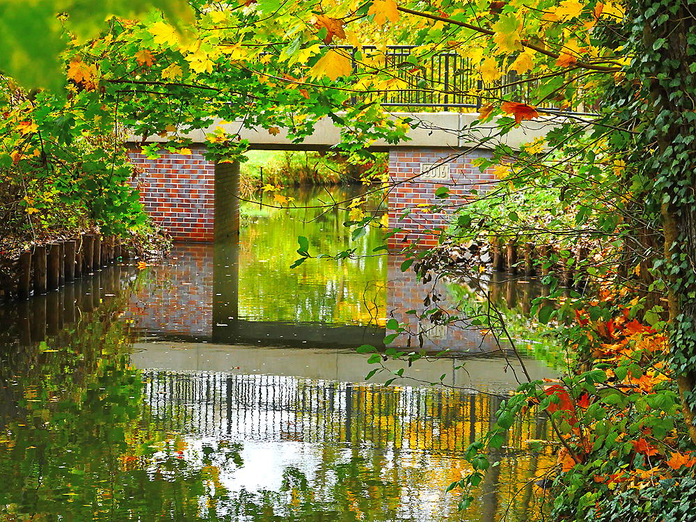 zur Übersicht Herbst 2