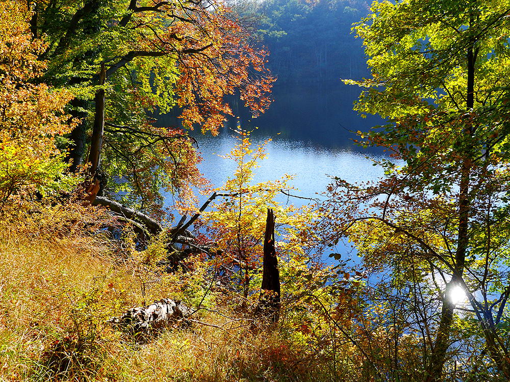 zur Übersicht Herbst 3