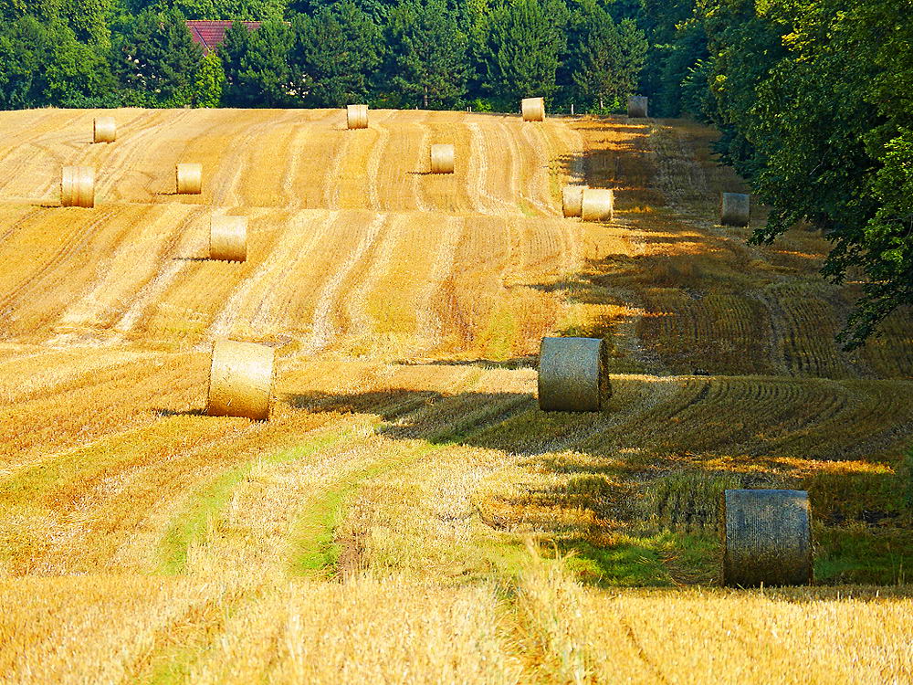 zur Übersicht Herbst 3